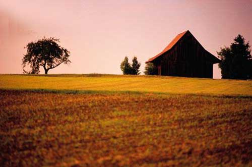Farmland