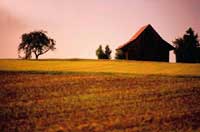 Farmland