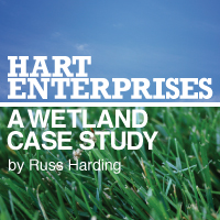 Hart Enterprises: A Wetland Case Study
