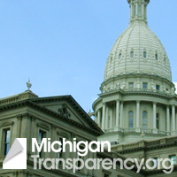 Michigan Transparency