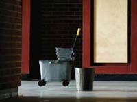 mop bucket