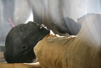 Click to enlarge: mummy