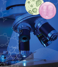 microscope