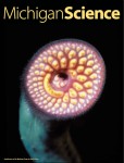 MichiganScience 2 cover