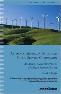 Amicus cover
